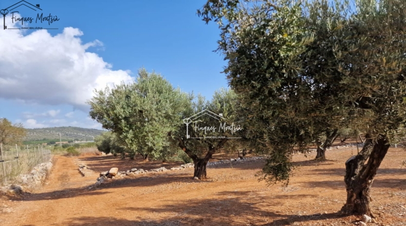 Tarragona - Freginals - 3079m2
