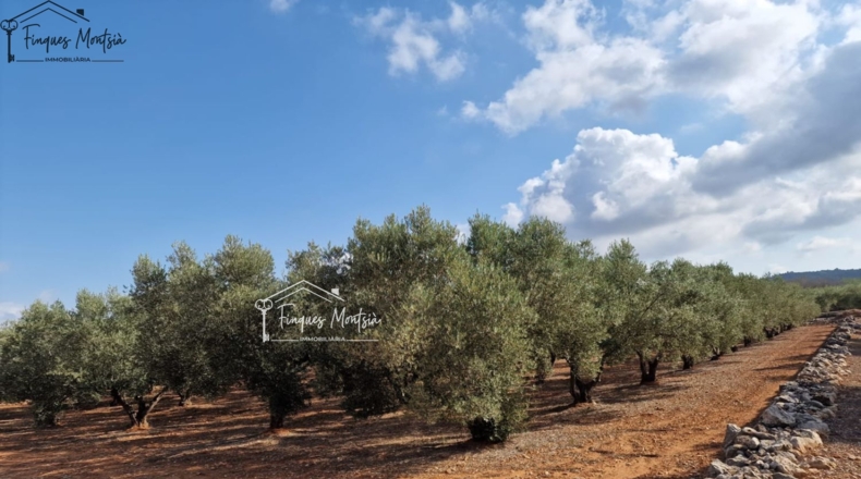 Tarragona - Freginals - 3079m2