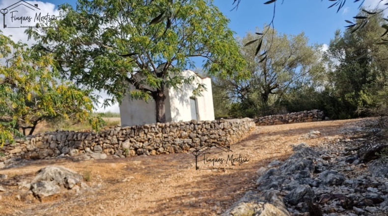 Tarragona - Freginals - 8677m2