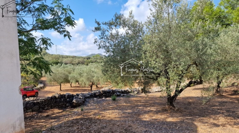 Tarragona - Freginals - 8677m2
