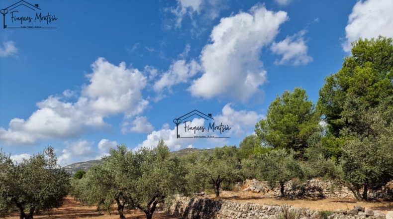 Tarragona - Freginals - 8677m2