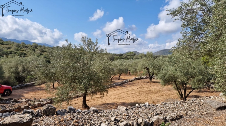 Tarragona - Freginals - 8677m2