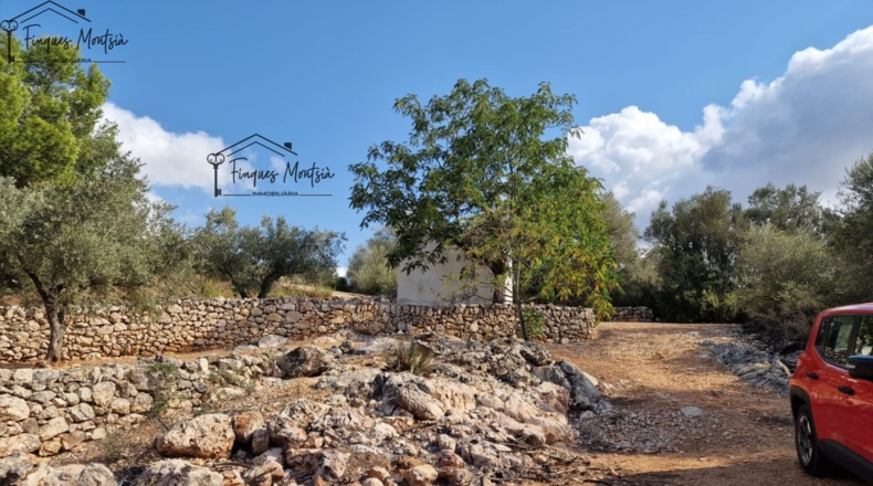 Tarragona - Freginals - 8677m2