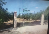 Terreny no urbanitzable en venda a Camarles ref.: TR354740 foto