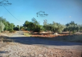 Terreny no urbanitzable en venda a Camarles ref.: TR354740 foto