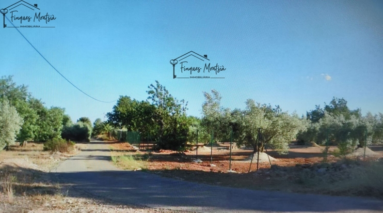 Tarragona - Camarles - 22636m2