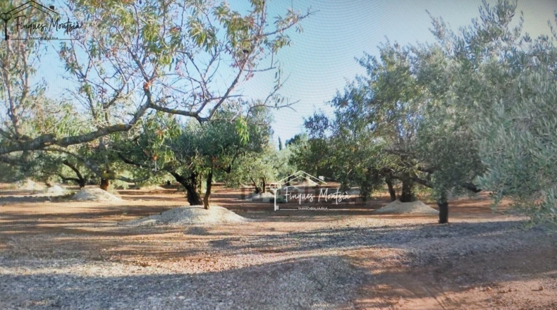 Tarragona - Camarles - 22636m2