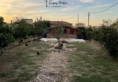 Sòl urbà en venda a Deltebre ref.: TR360862 foto