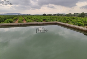Vinaròs 17415&nbsp;м²