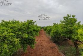 Vinaròs 17415&nbsp;м²