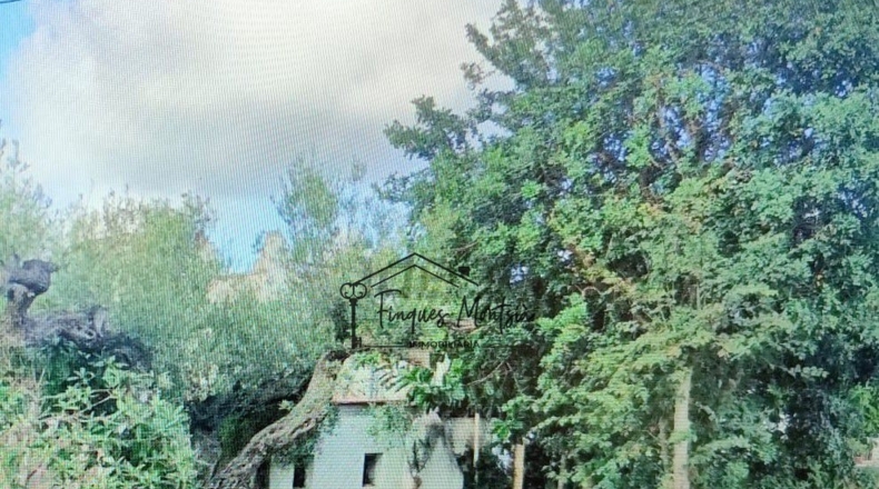 Castellón - Vinaroz - 22208m2
