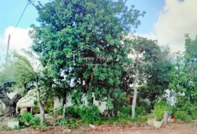 Vinaròs 22208&nbsp;м²