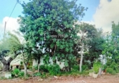 Terreno no urbanizable en venta en Vinaròs ref: TR360586 foto