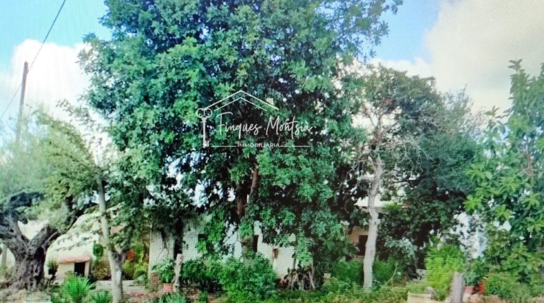 Castellón - Vinaroz - 22208m2