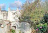 Terreno no urbanizable en venta en Vinaròs ref: TR360586 foto