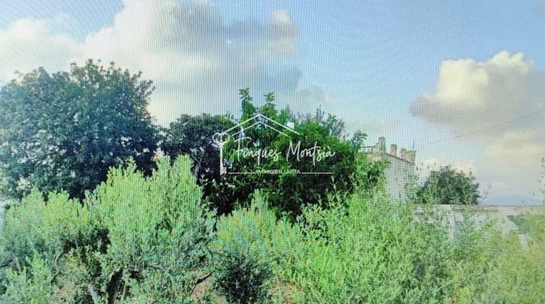 Castellón - Vinaroz - 22208m2
