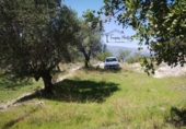 Finca rústica en venta en Tortosa ref: TR360694 foto