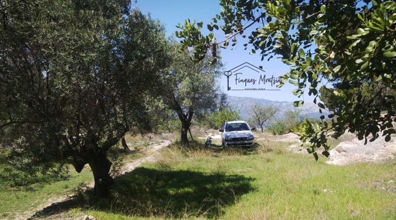Tarragona - Tortosa - 8089m2