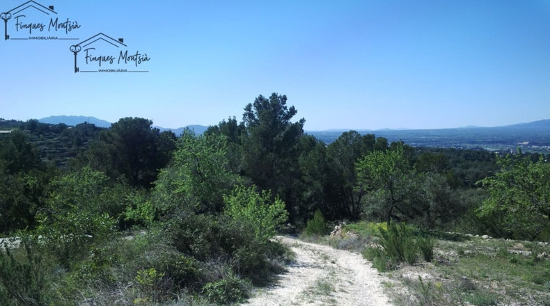 Tarragona - Tortosa - 8089m2