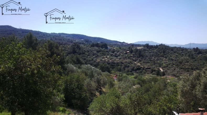 Tarragona - Tortosa - 8089m2
