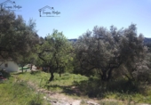 Finca rústica en venta en Tortosa ref: TR360694 foto