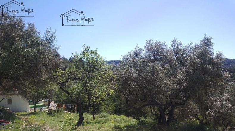 Tarragona - Tortosa - 8089m2