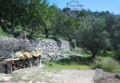 Finca rústica en venta en Tortosa ref: TR360694 foto