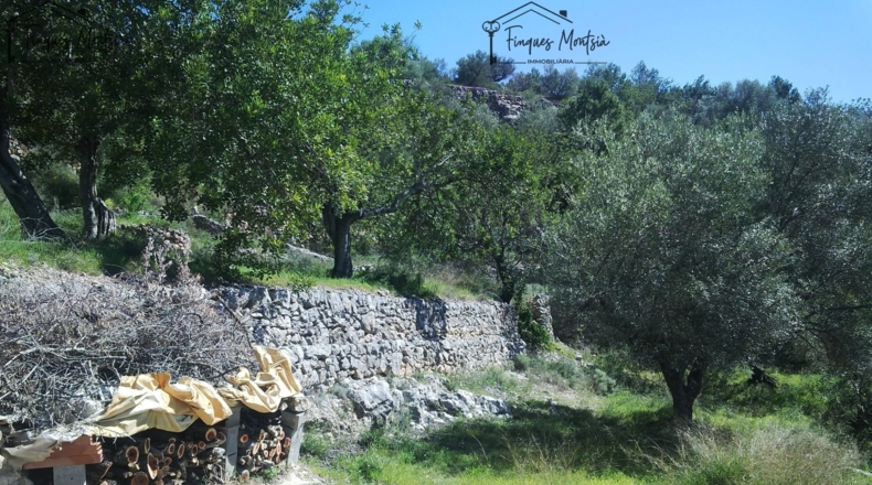 Tarragona - Tortosa - 8089m2