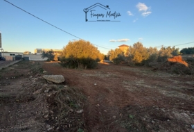 Vinaròs 6981&nbsp;м²