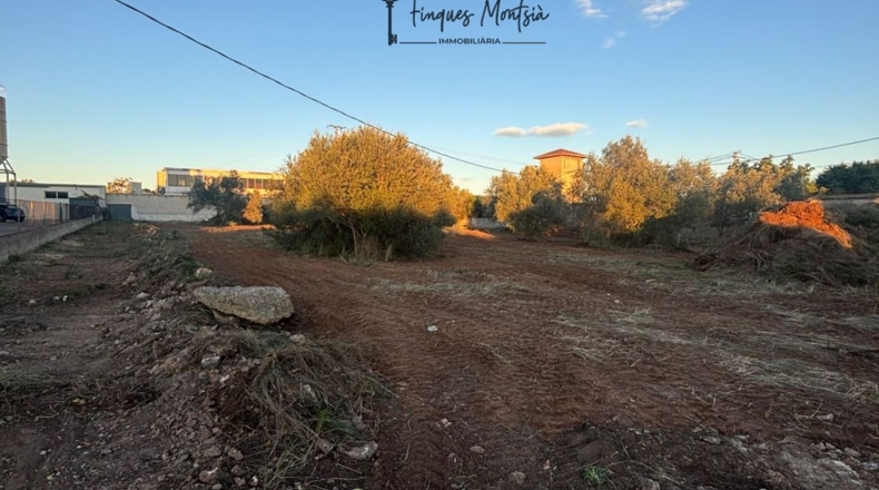 Castellon - Vinaroz - 6981m2