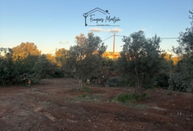 Vinaròs 6981&nbsp;м²