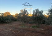 Suelo urbano en venta en Vinaròs ref: TR363391 foto