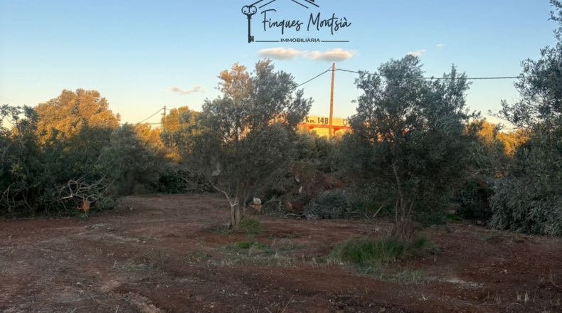 Castellon - Vinaroz - 6981m2