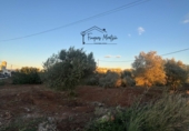 Suelo urbano en venta en Vinaròs ref: TR363391 foto