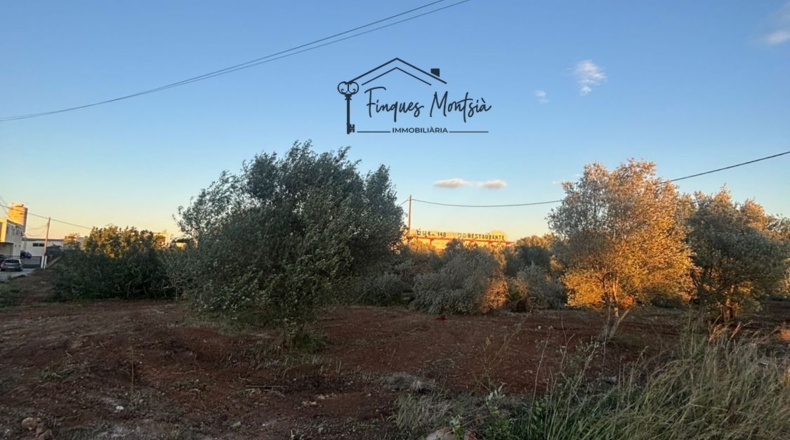 Castellon - Vinaroz - 6981m2
