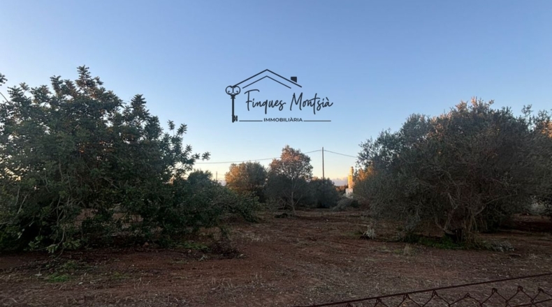 Castellon - Vinaroz - 6981m2
