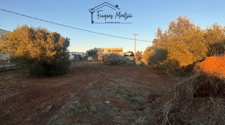 Castellon - Vinaroz - 6981m2