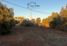 Vinaròs 6981&nbsp;м²