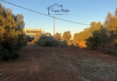 Suelo urbano en venta en Vinaròs ref: TR363391 foto