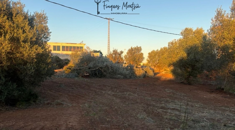 Castellon - Vinaroz - 6981m2