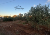 Suelo urbano en venta en Vinaròs ref: TR363391 foto