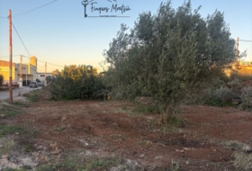Vinaròs 6981&nbsp;м²