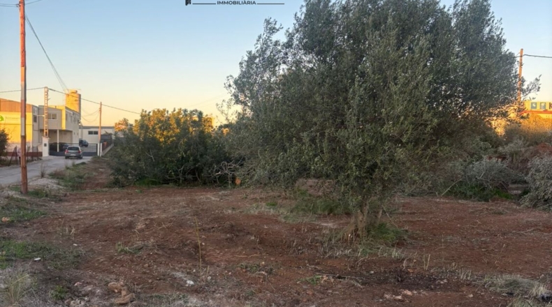 Castellon - Vinaroz - 6981m2