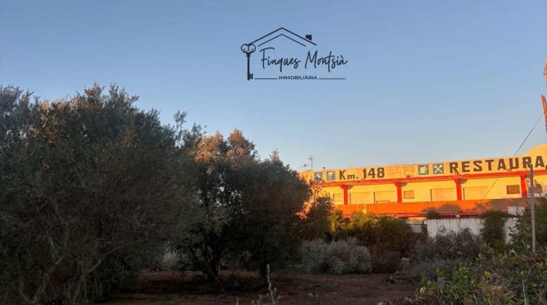 Castellon - Vinaroz - 6981m2