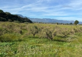 Finca rústica en venta en Tortosa ref: TR360601 foto