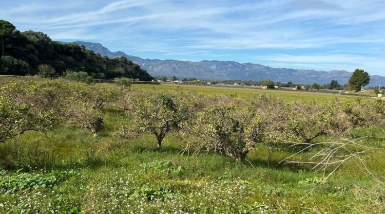 Tarragona - Tortosa - 10220m2