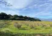 Finca rústica en venta en Tortosa ref: TR360601 foto