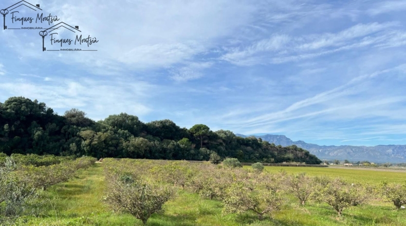 Tarragona - Tortosa - 10220m2