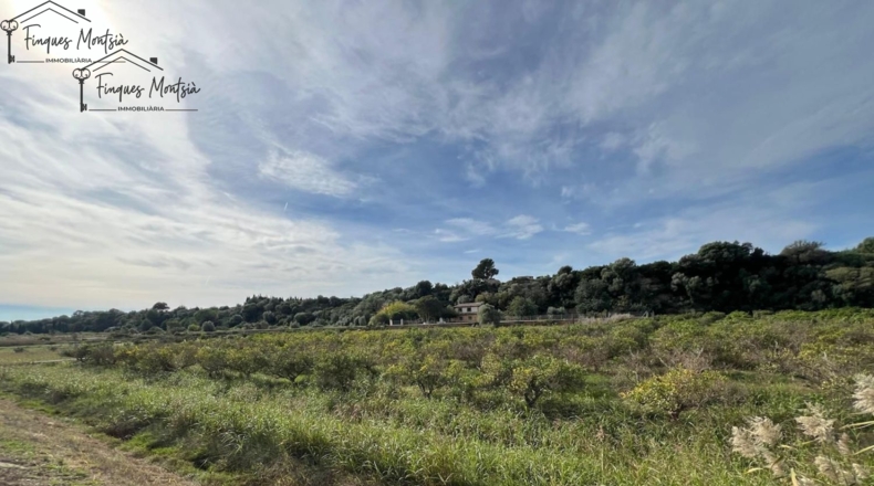 Tarragona - Tortosa - 10220m2