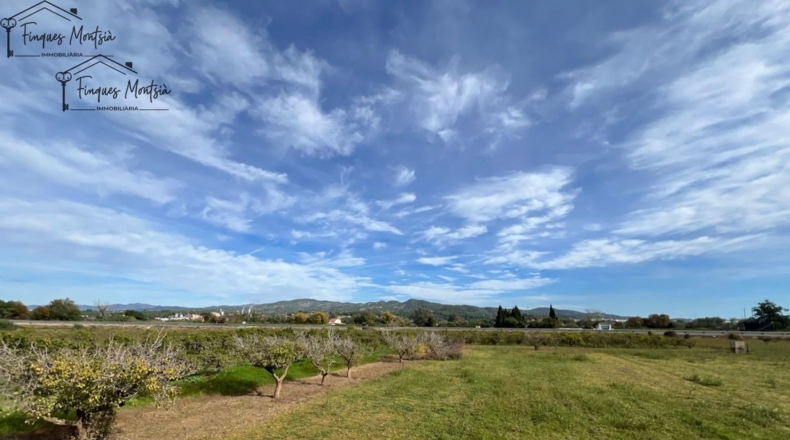 Tarragona - Tortosa - 10220m2